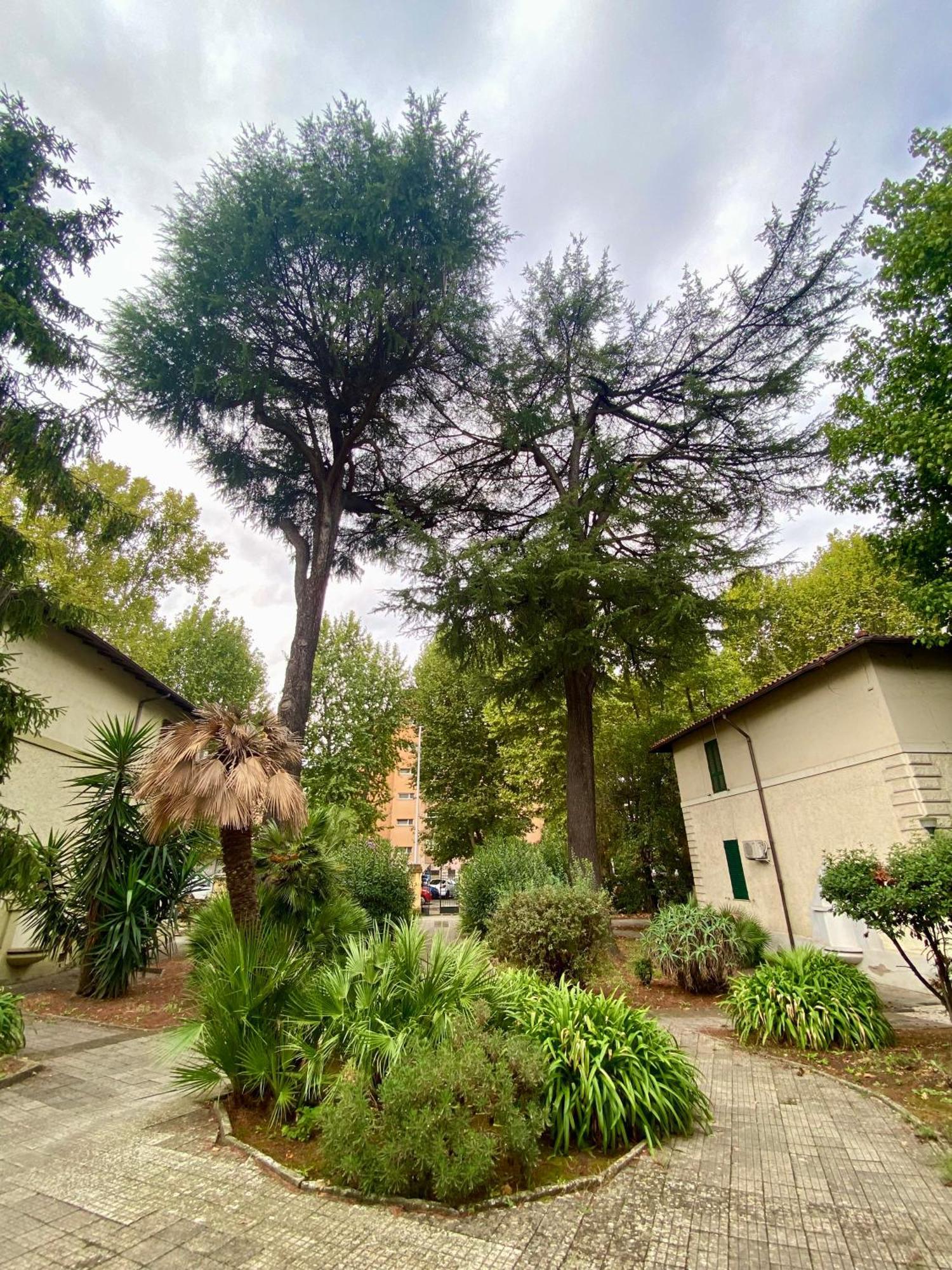 A Casa Con Greta Apartment Rome Exterior photo